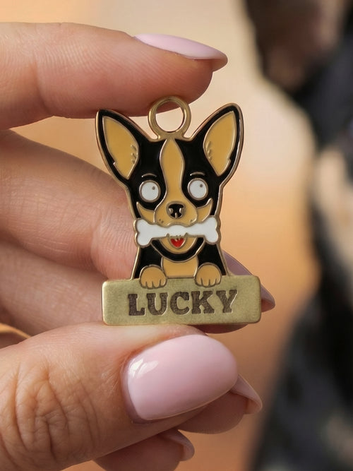 Chihuahua köpek figürlü isim yazılabilir metal künye, sevimli tasarımı ve kemik detayıyla evcil hayvan aksesuarı.