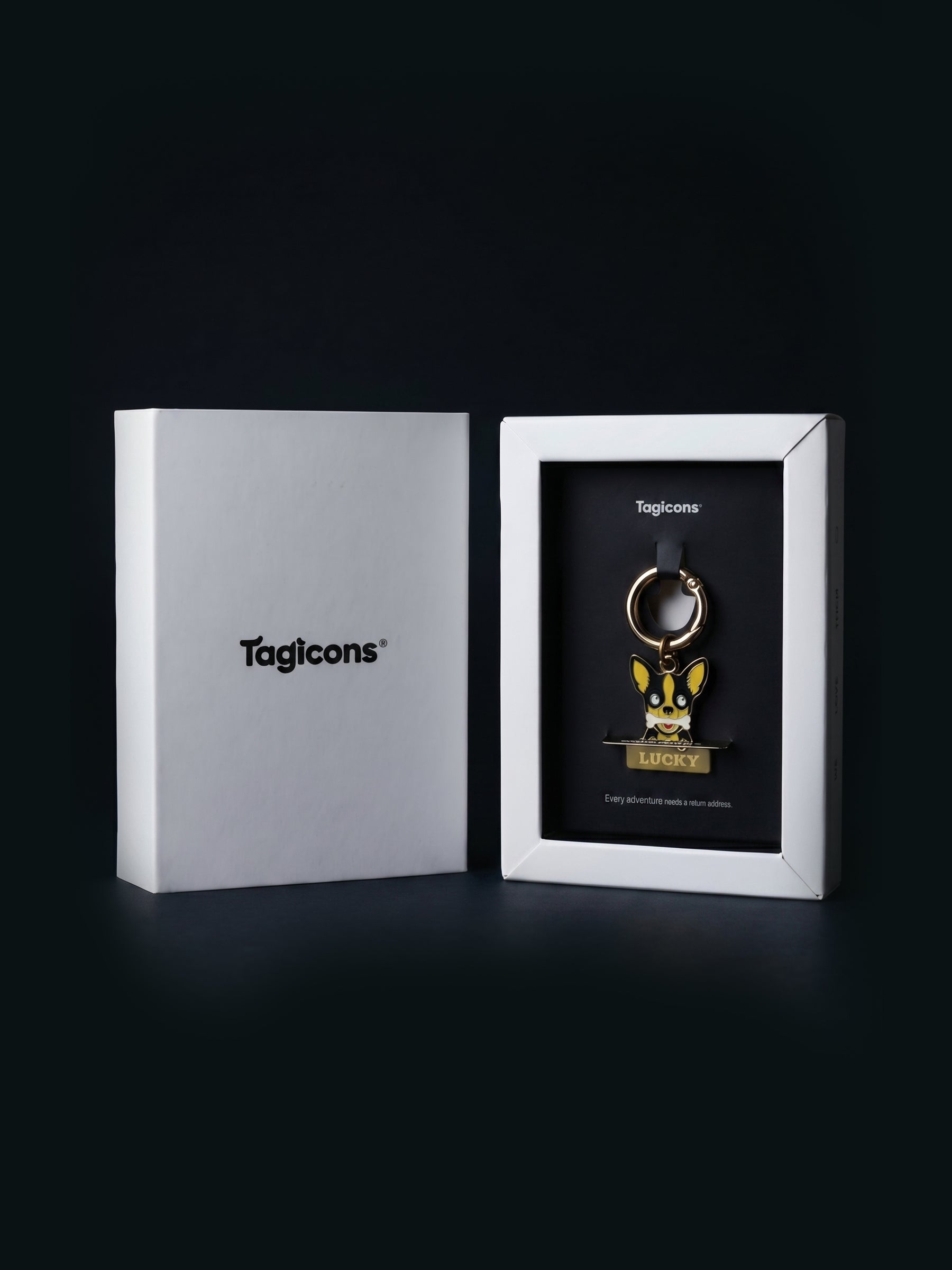 Chihuahua desenli köpek künyesi, altın renk metal ve siyah detaylı, isim yazdırılabilir evcil hayvan etiketi.