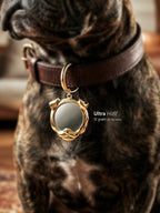 Köpek şeklinde airtag kılıfı, isim yazdırılabilir metal anahtarlık evcil hayvan aksesuarı.