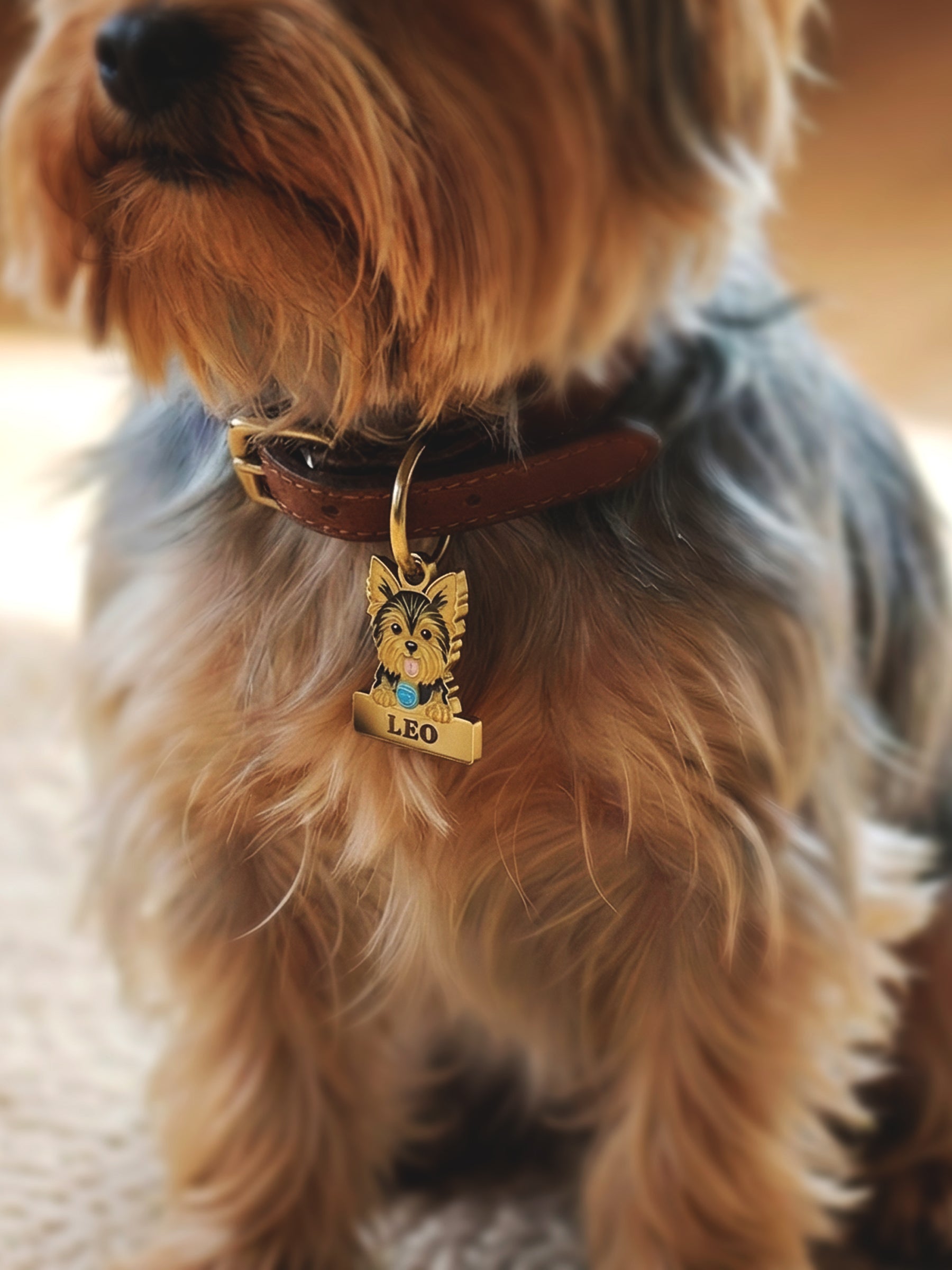 erkek yorkie köpek künyesi mavi detaylı el yapımı tasarım