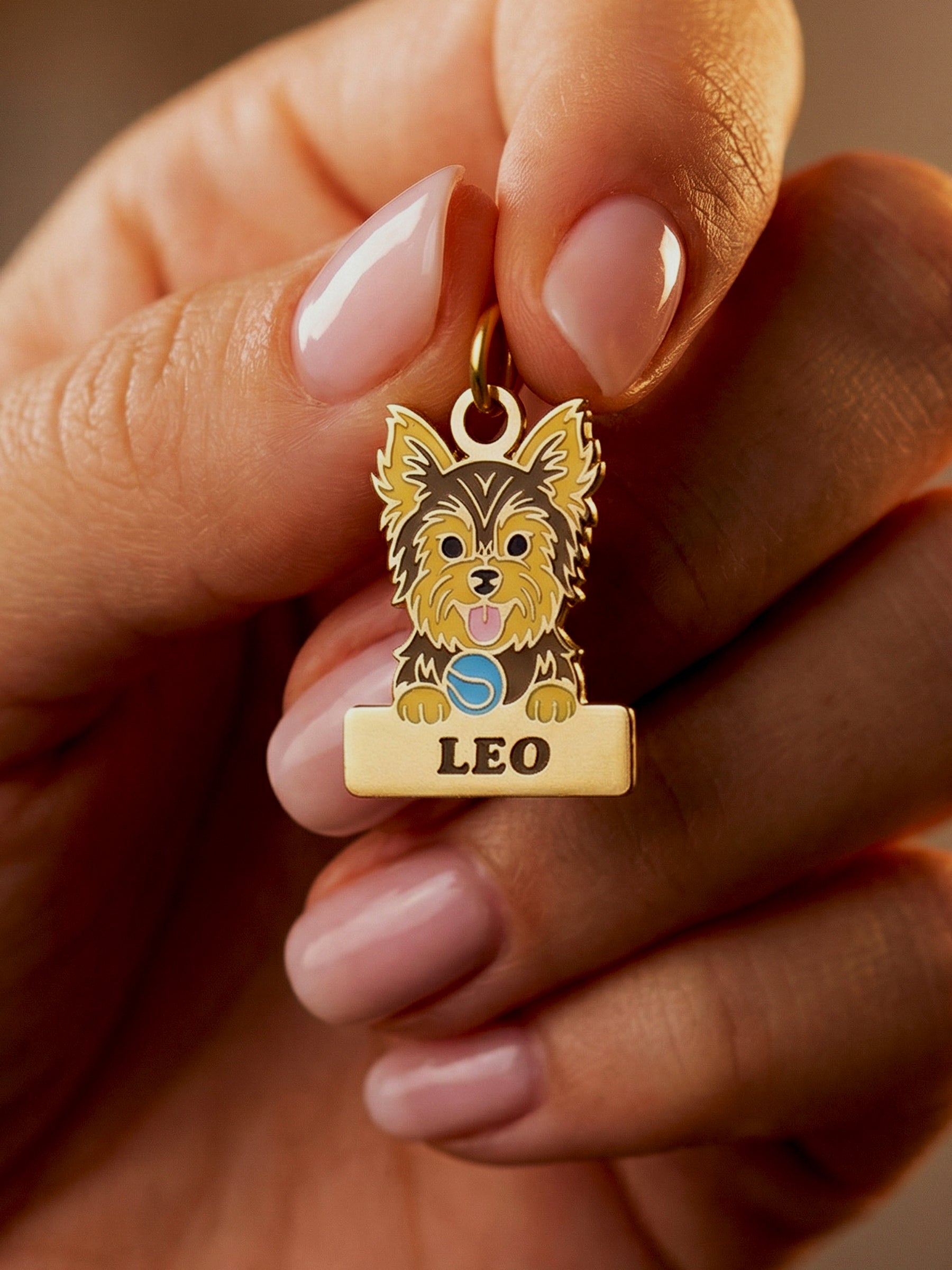 erkek yorkshire terrier isim yazılabilir pirinç köpek künyesi ön görünüm