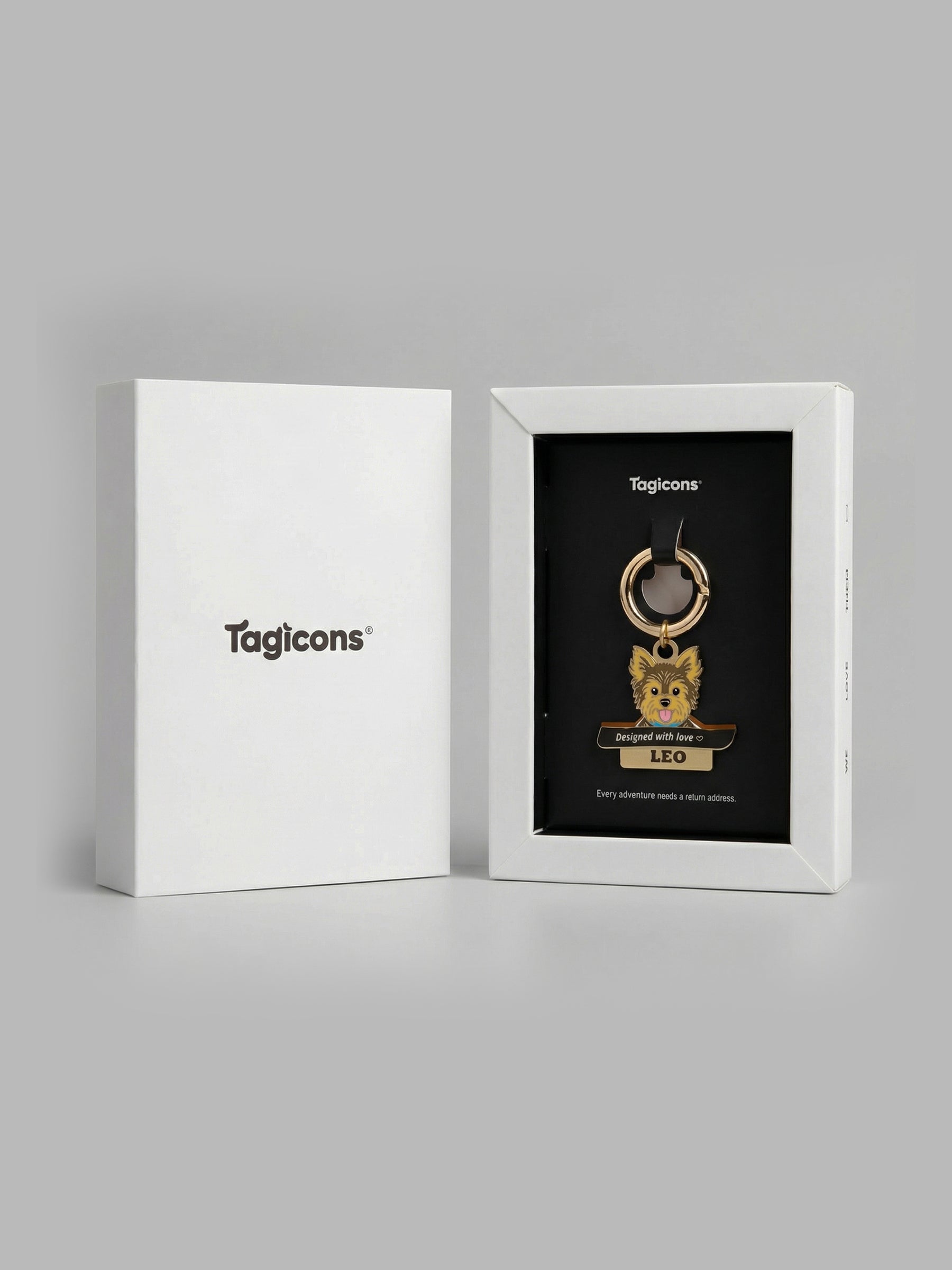 erkek yorkie künyesi detay görünüm el yapımı mine boyama